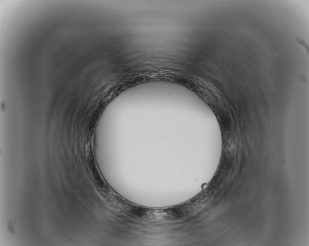 X0000097300607200802151124