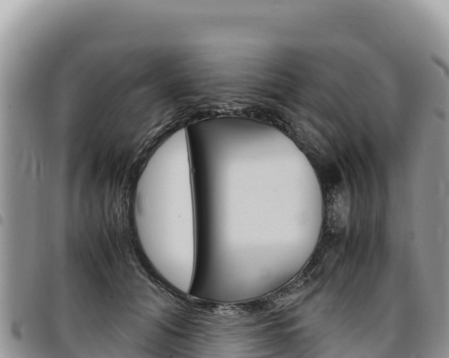 X0000097300608200802151124