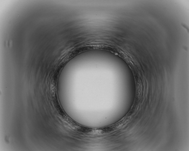 X0000097300609200802151124