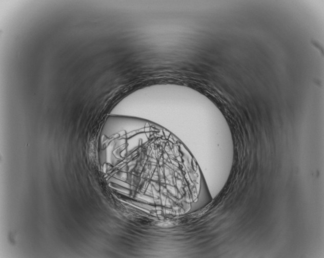 X0000097300611200802151124