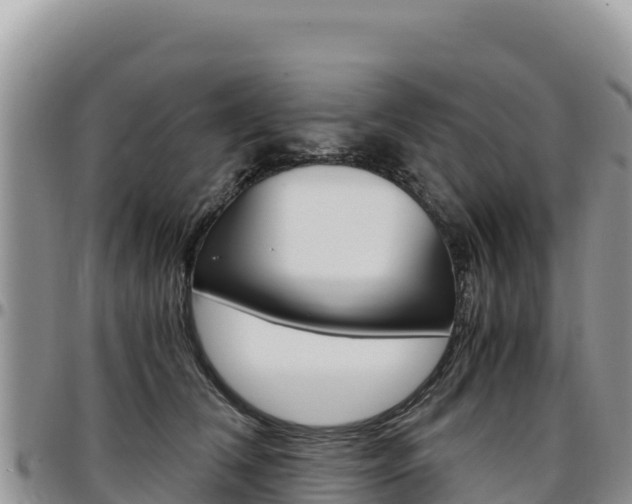 X0000097300612200802151124