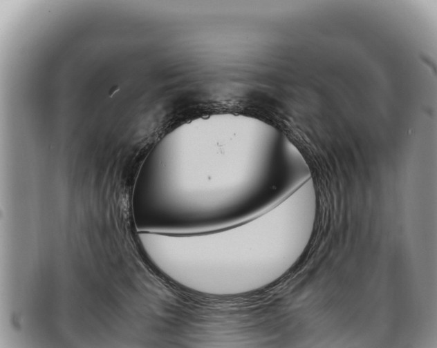 X0000097300613200802151124