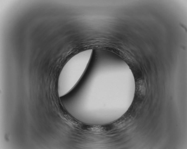 X0000097300615200802151123