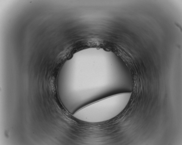 X0000097300616200802151123