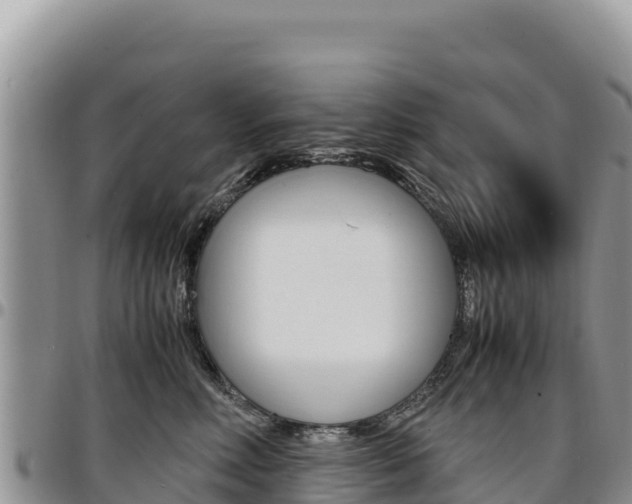 X0000097300618200802151123
