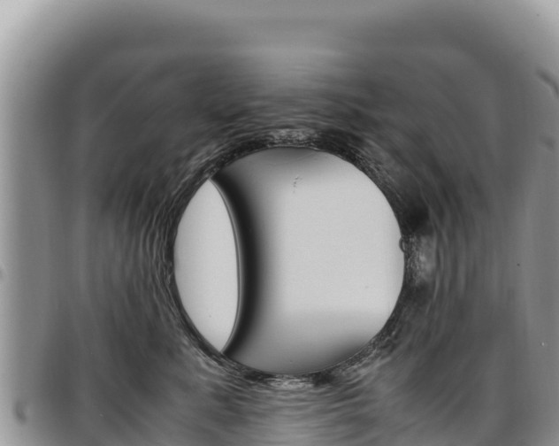 X0000097300619200802151123