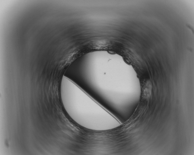 X0000097300620200802151123