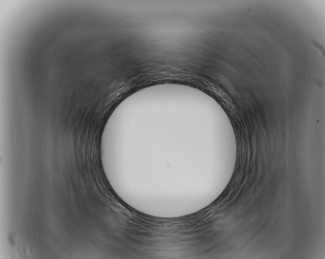 X0000097300621200802151123