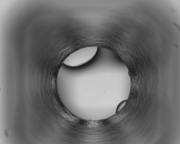 X0000097300623200802151123