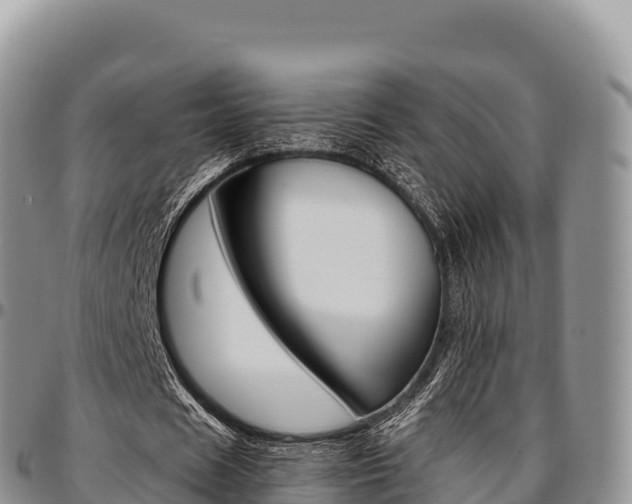 X0000097300625200802151123