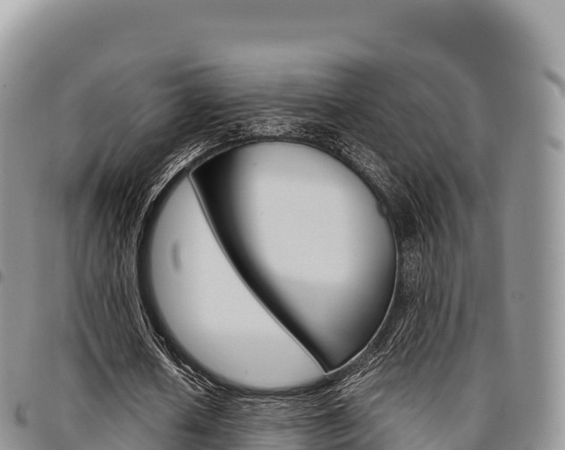 X0000097300626200802151123