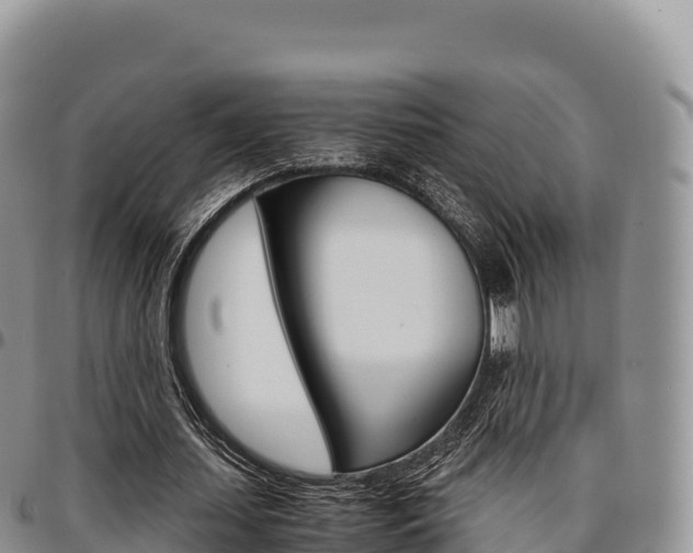 X0000097300627200802151123