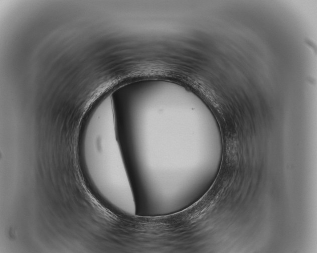 X0000097300629200802151123