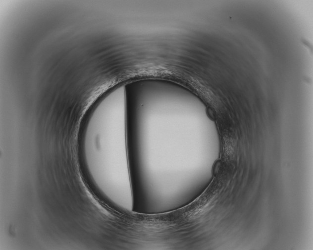 X0000097300630200802151123