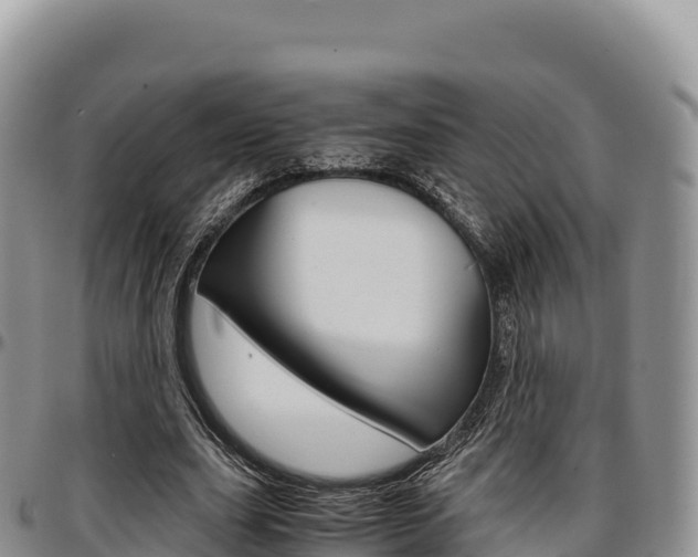 X0000097300631200802151123