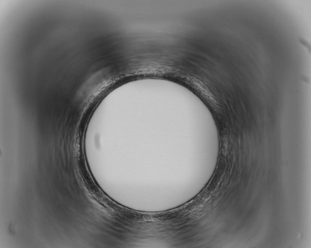 X0000097300632200802151123