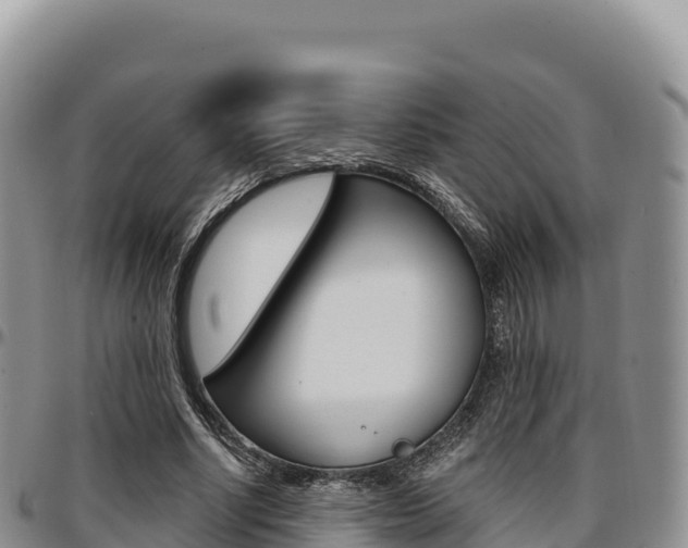 X0000097300634200802151123