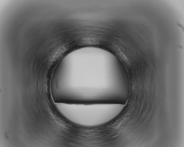 X0000097300635200802151123