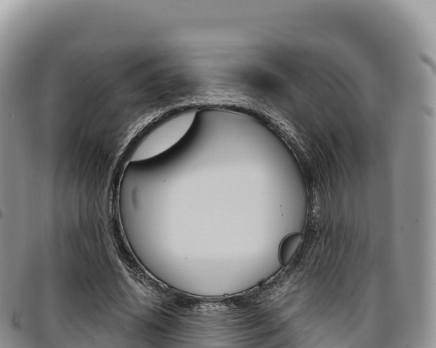 X0000097300636200802151123
