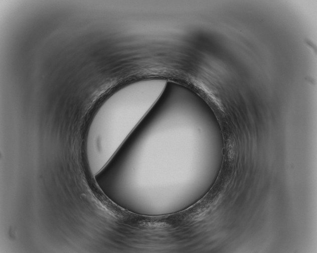 X0000097300637200802151123