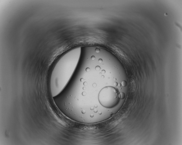 X0000097300638200802151123