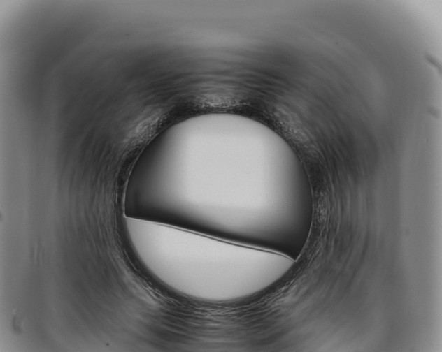 X0000097300639200802151123