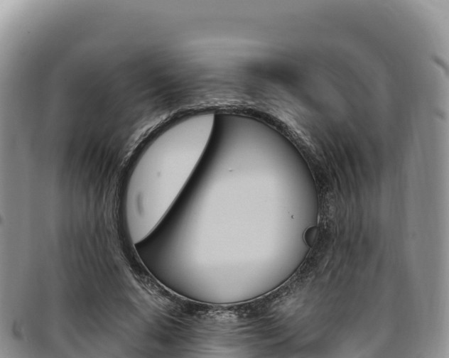 X0000097300640200802151123