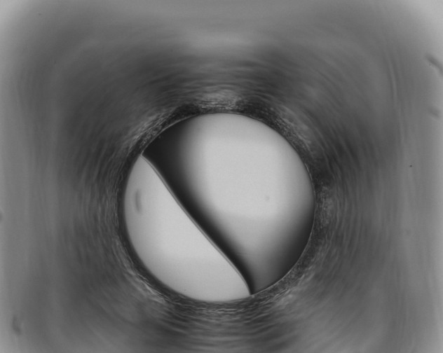 X0000097300641200802151123