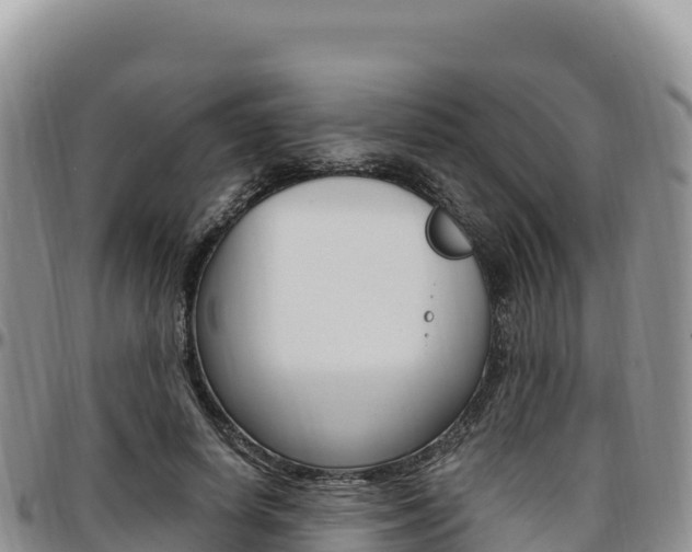 X0000097300642200802151123
