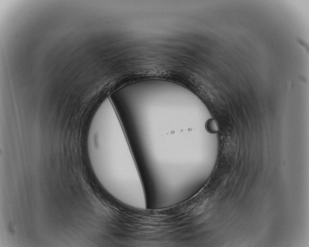 X0000097300643200802151123