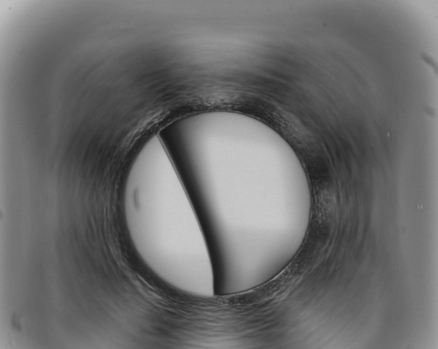 X0000097300644200802151123