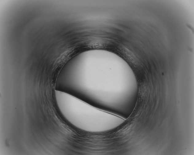 X0000097300645200802151123