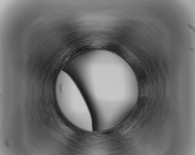 X0000097300646200802151123
