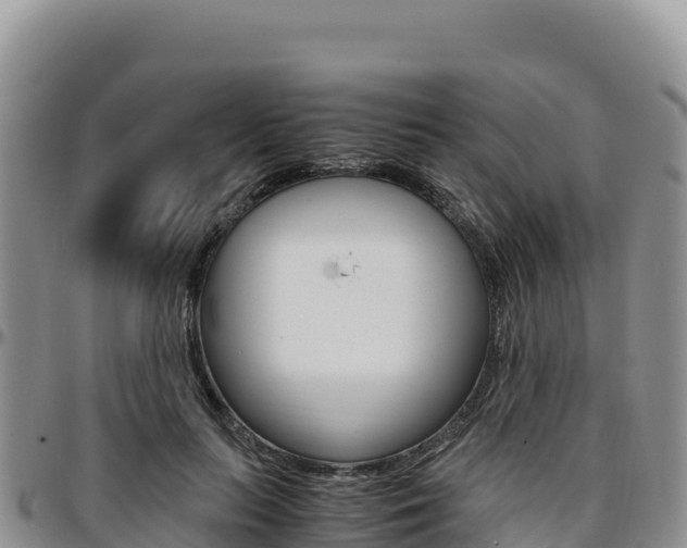 X0000097300647200802151123