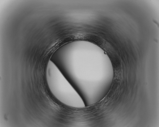 X0000097300648200802151123