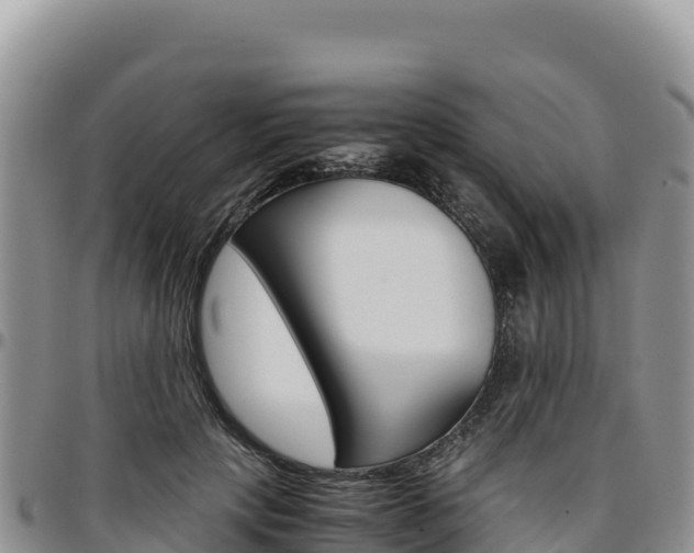 X0000097300649200802151123