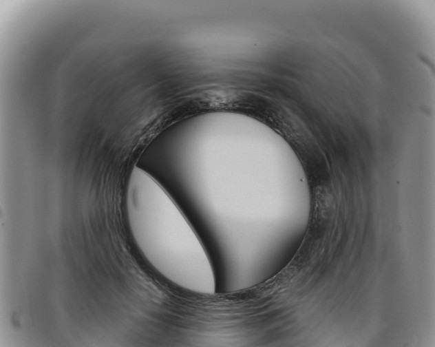 X0000097300650200802151123