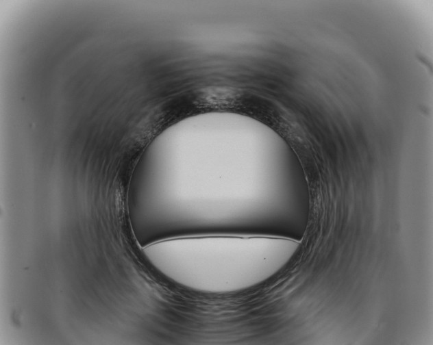X0000097300651200802151123