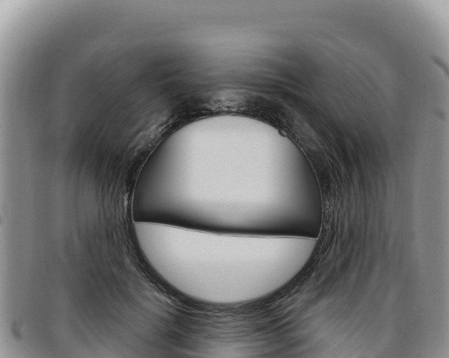 X0000097300652200802151123
