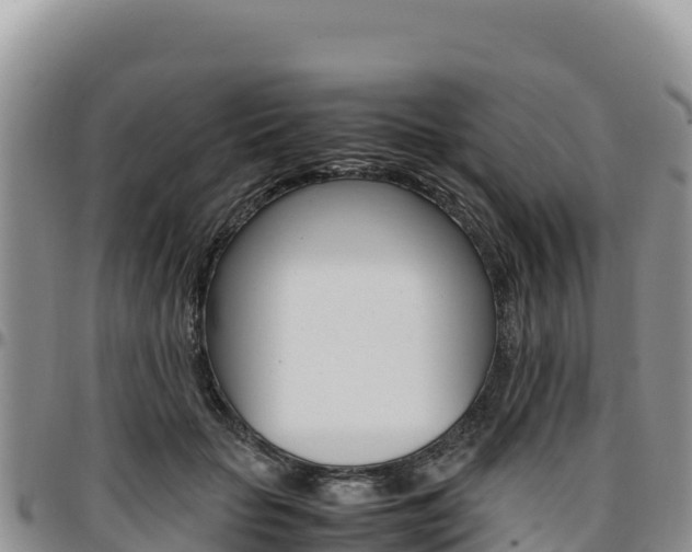 X0000097300653200802151123