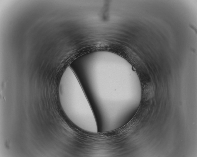 X0000097300654200802151123
