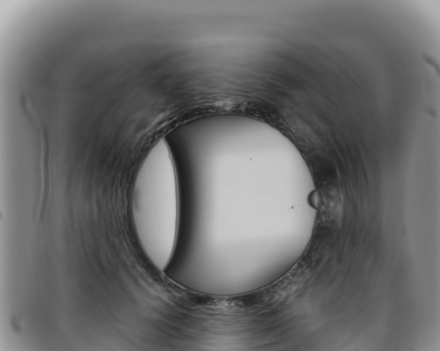 X0000097300656200802151123