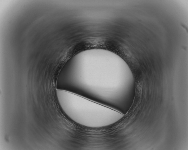 X0000097300657200802151123