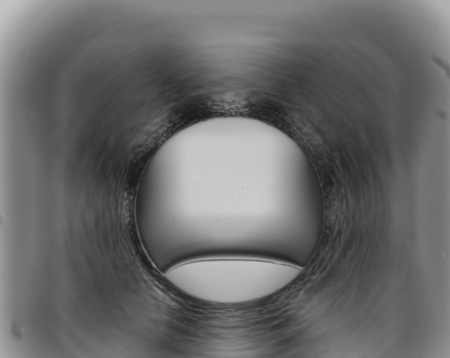 X0000097300658200802151123
