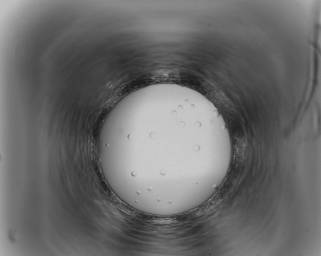 X0000097300659200802151123