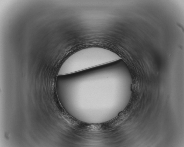 X0000097300660200802151123