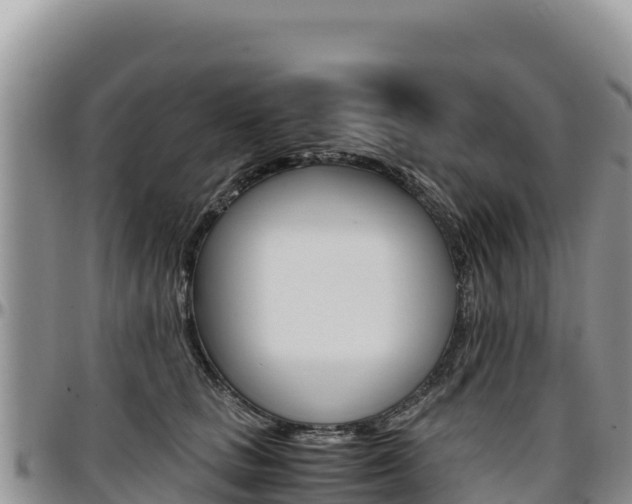 X0000097300661200802151123