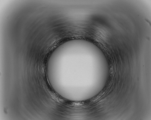 X0000097300662200802151123