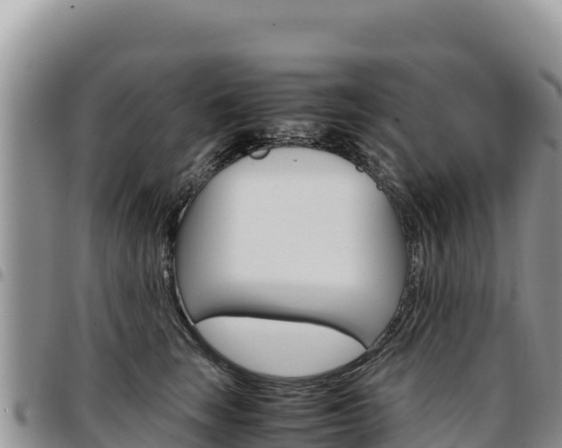X0000097300663200802151123