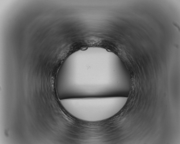 X0000097300664200802151123